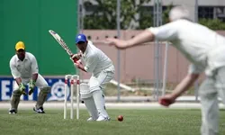 Cricket live odds